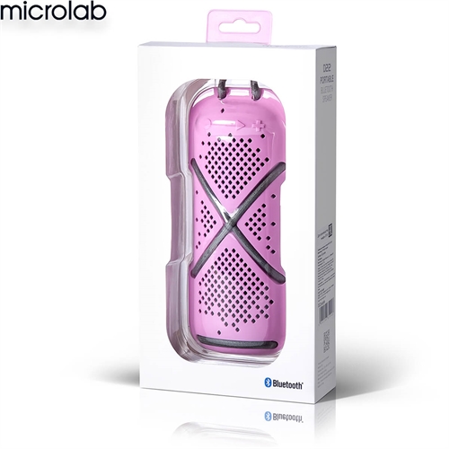 Loa Microlab D22 6